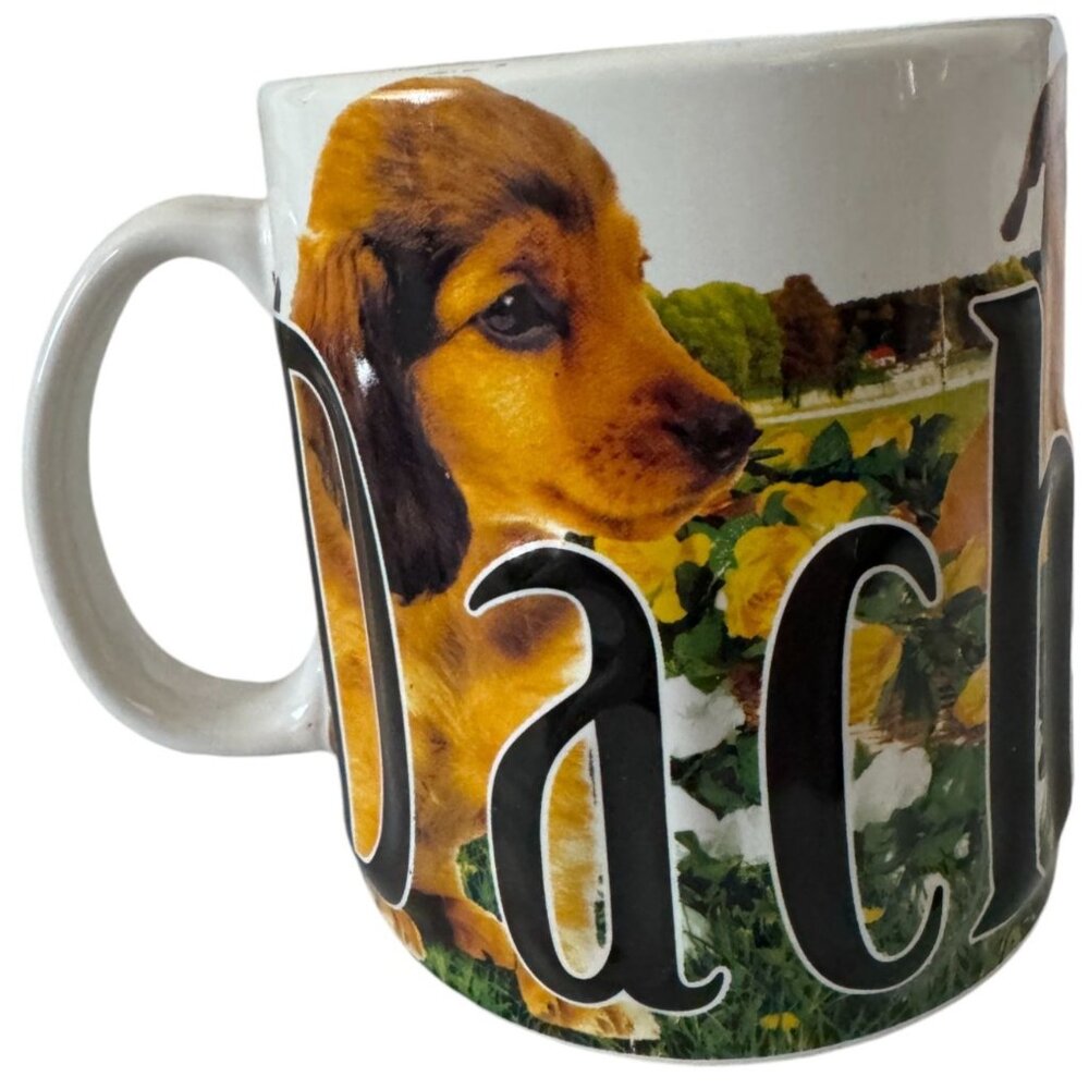 Dachshund Dog 3D Large Ceramic Mug Cup Americaware